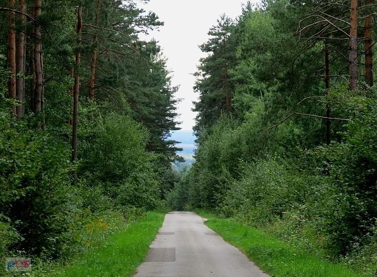 Wturlaliśmy sie pod górę - stamtąd jedziemy