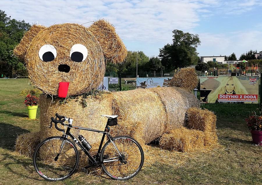 Konarzewo, piesio - Dożynki 2019