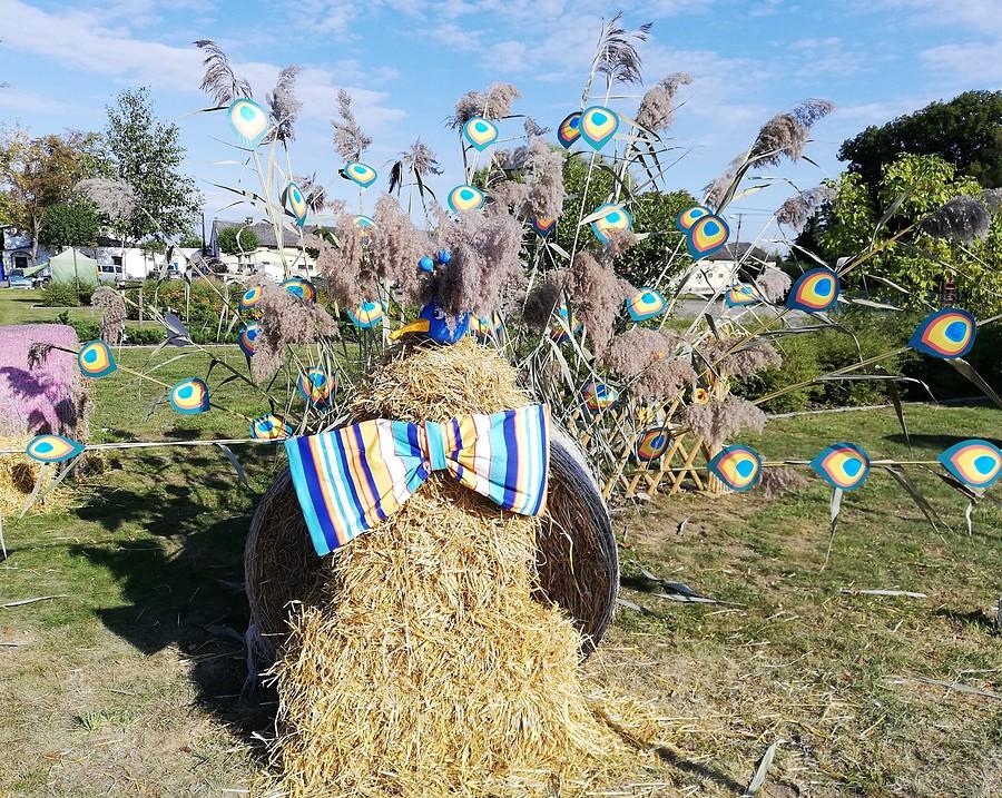 Dopiewo, paw - Dożynki 2019