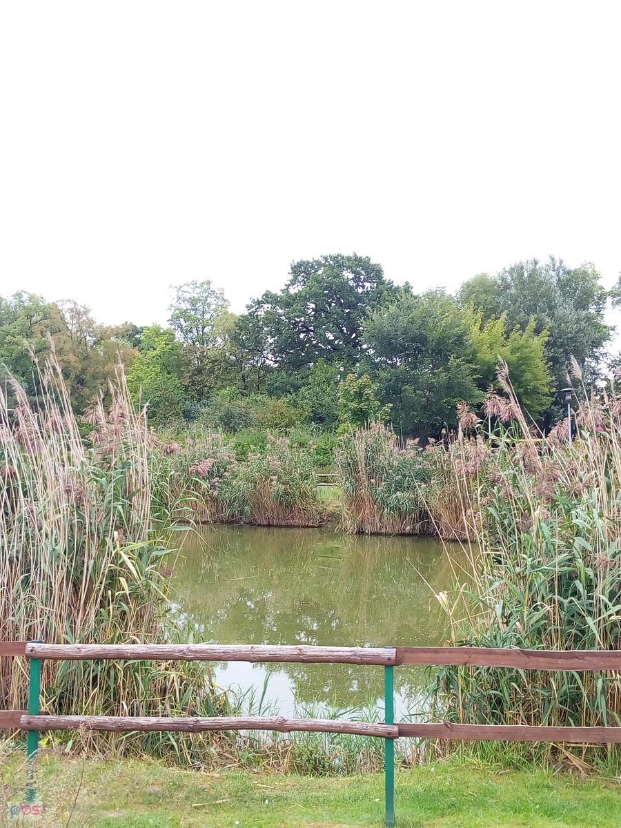 Trzeci staw