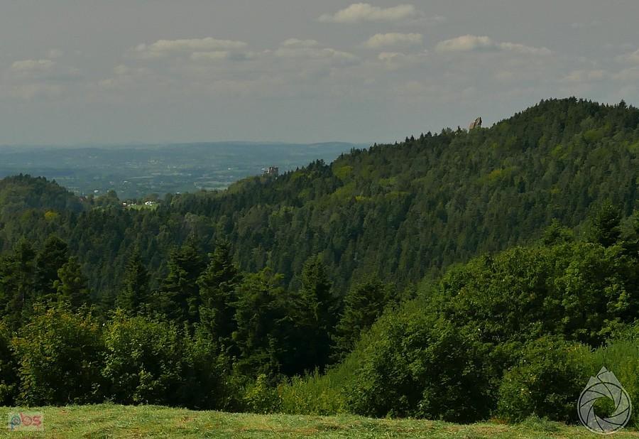 zamek odrzykoński i najwyższeskały Prządków