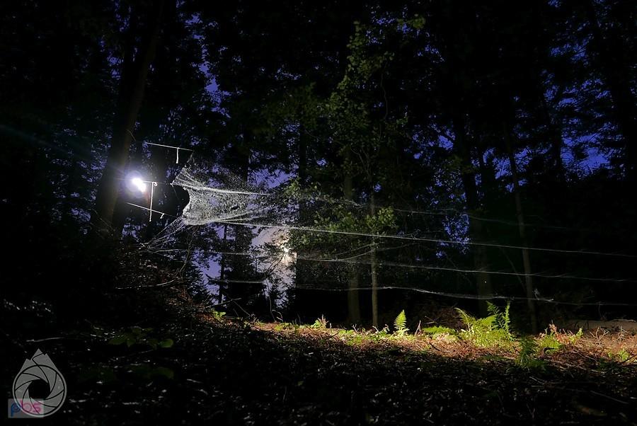 siatkowanie nocne z księżycem