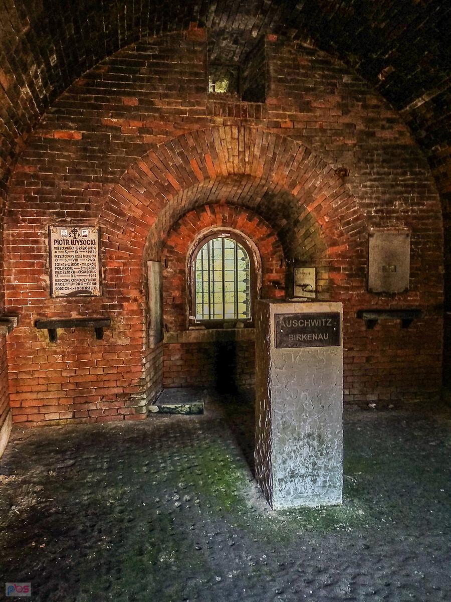 Wnętrza rotundy w Zamosciu