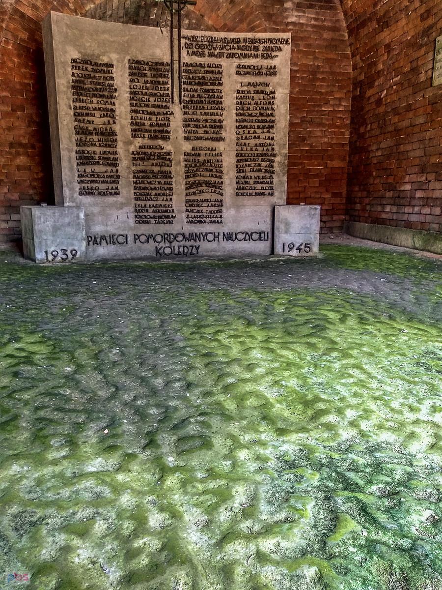 Wnętrza rotundy w Zamosciu