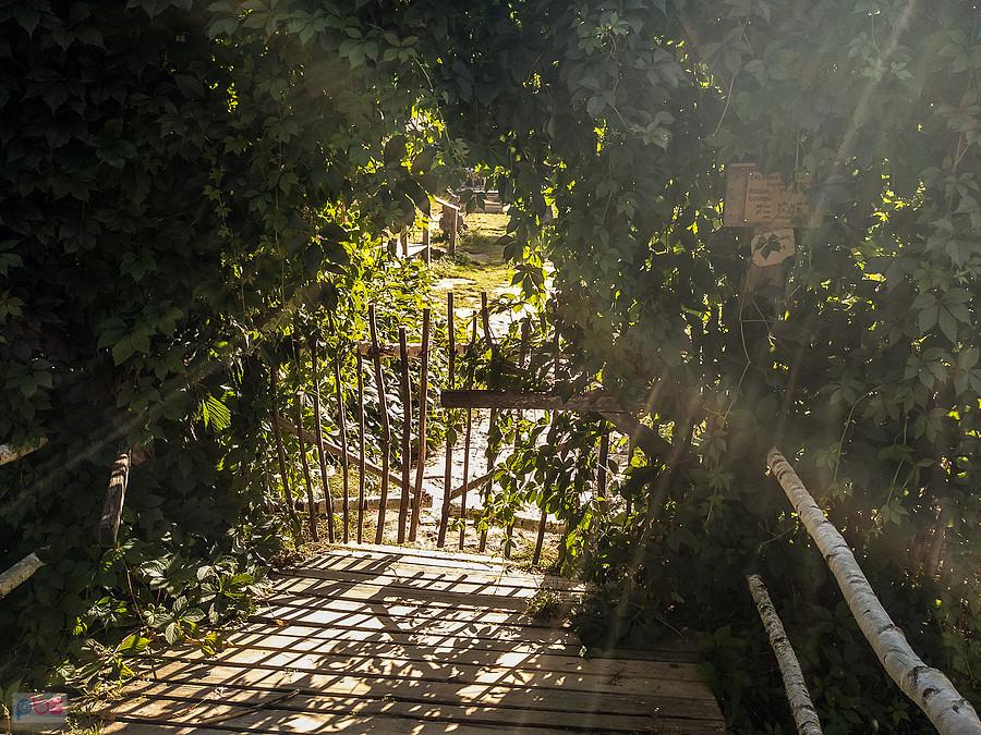 Wejście do zagrody Guciów