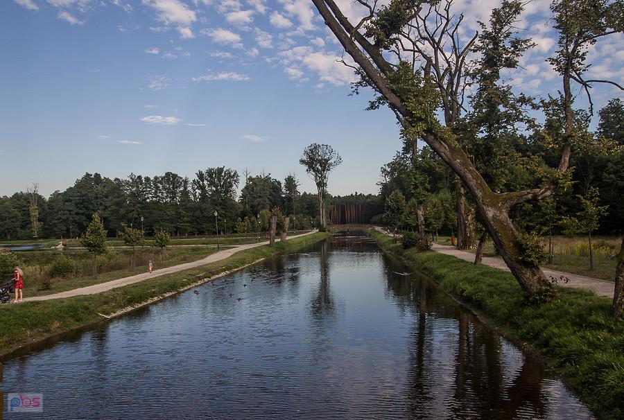 Kolejny staw