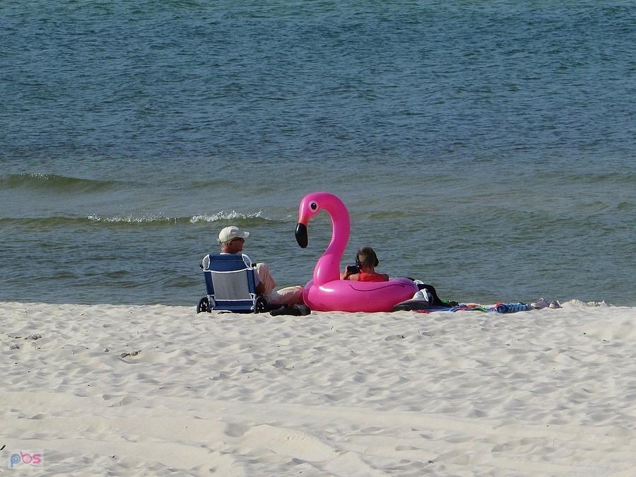 Flaming na plaży