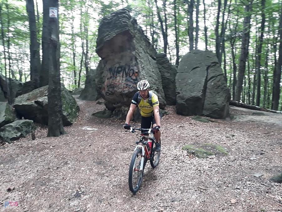Skałdki przy Bukowej