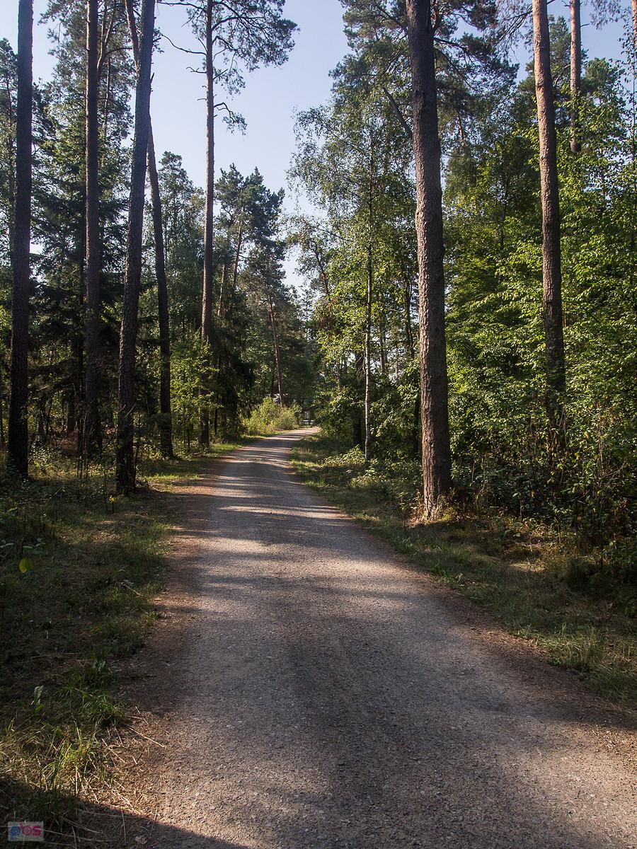 Przed Góreckiem Starym