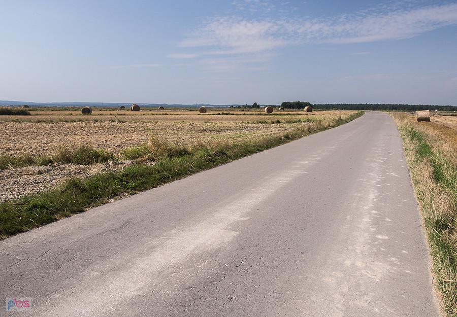 Na polach nie ma już zboża