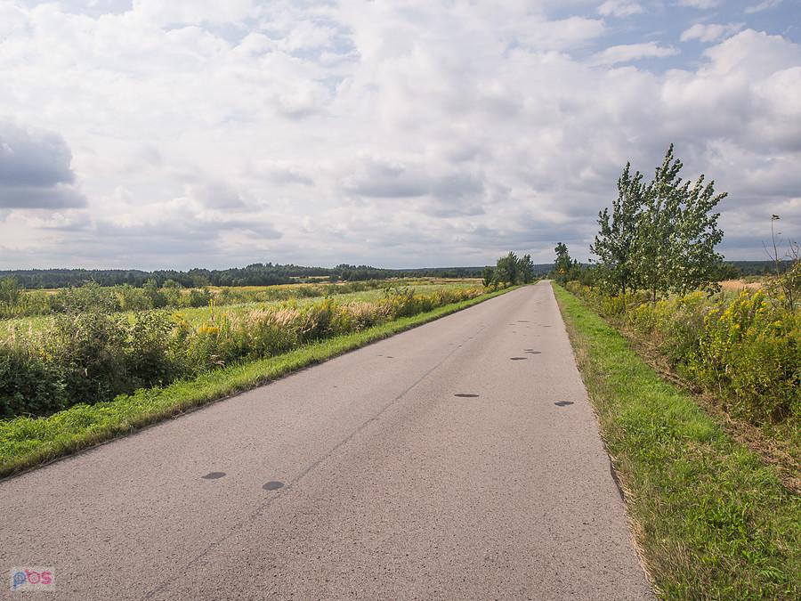 Widok z Wiśniowej Góry