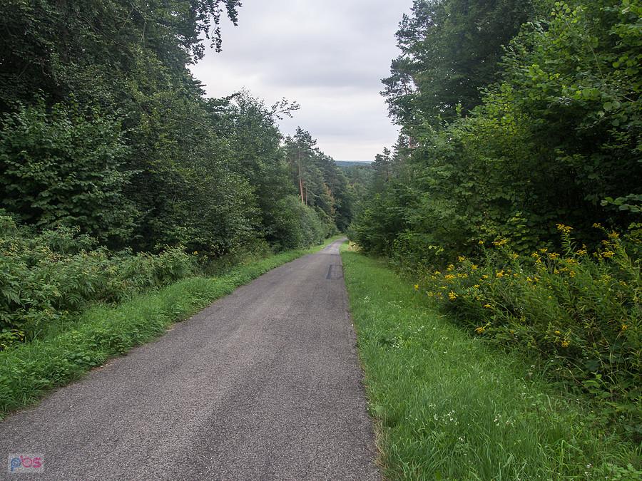 Gdzieś przed Nowinami Horynieckimi