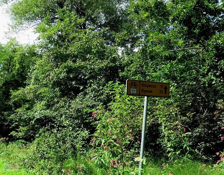 Do Krzywczej 11 km