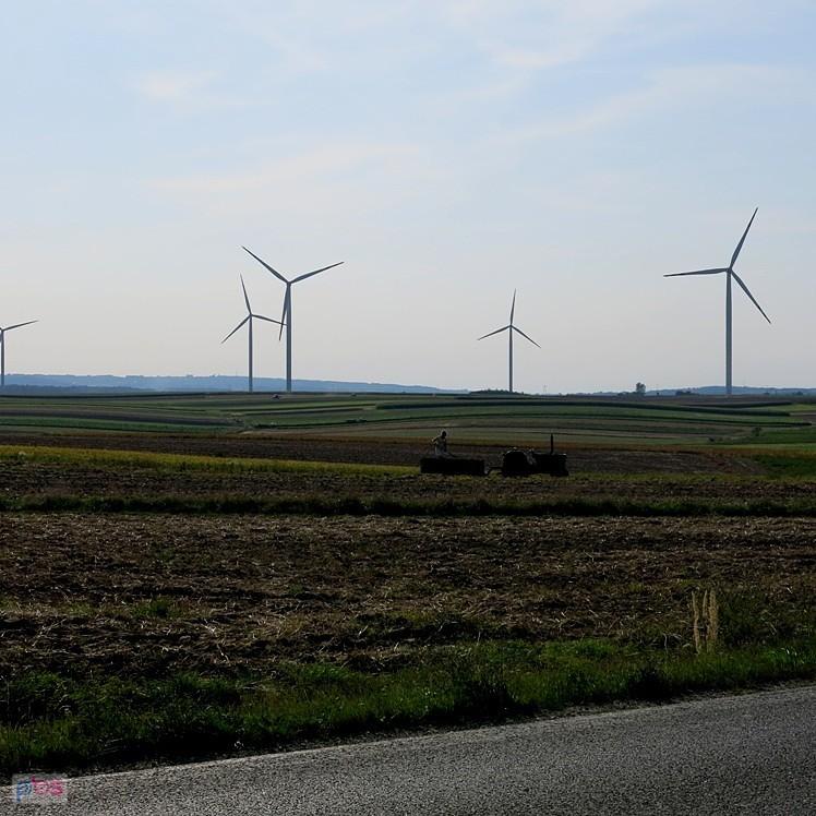 Pole wiatraków k. Łańcuta