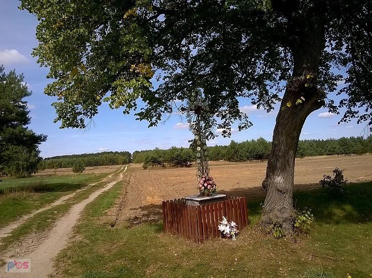 Śląskie polne drogi