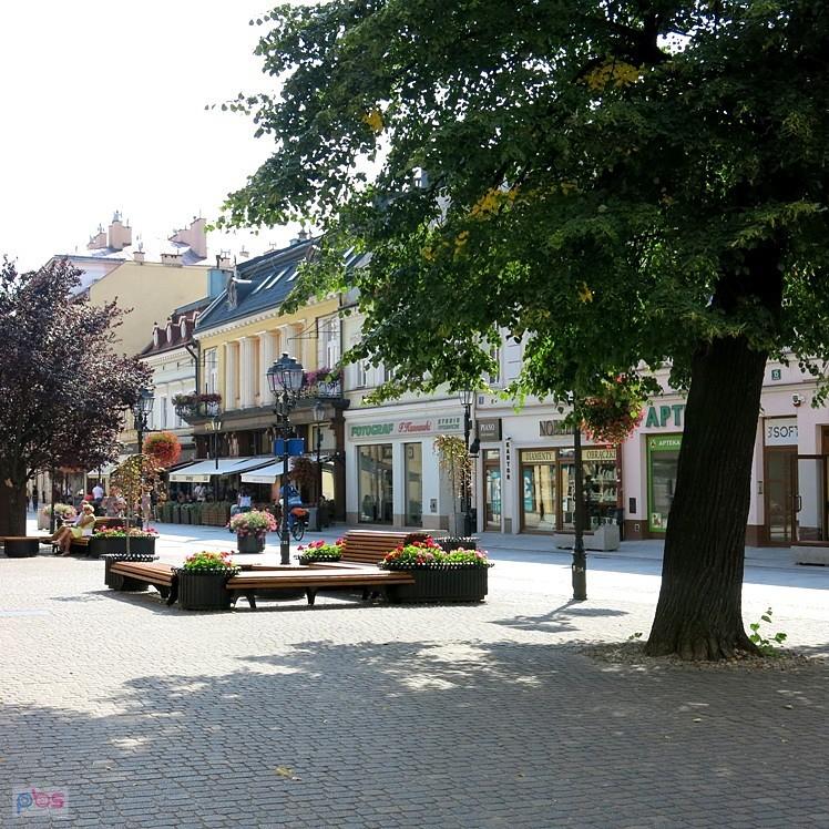 Na Placu Farnym w Rzeszowie