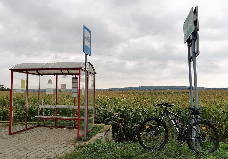 Widok na WPN - Rosnowo