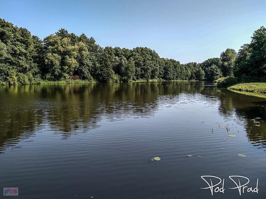 Staw przy Młynie