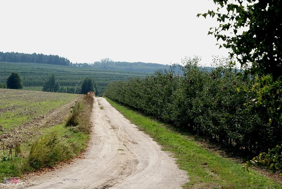W okolicach Białej Rawskiej