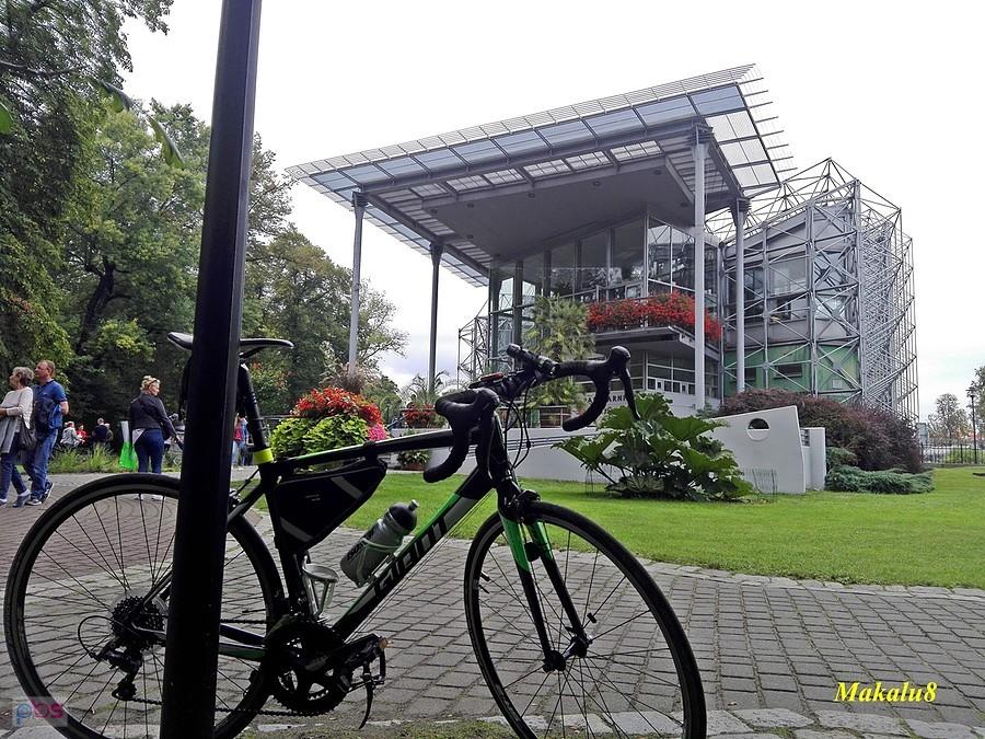 Przed palmiarnią