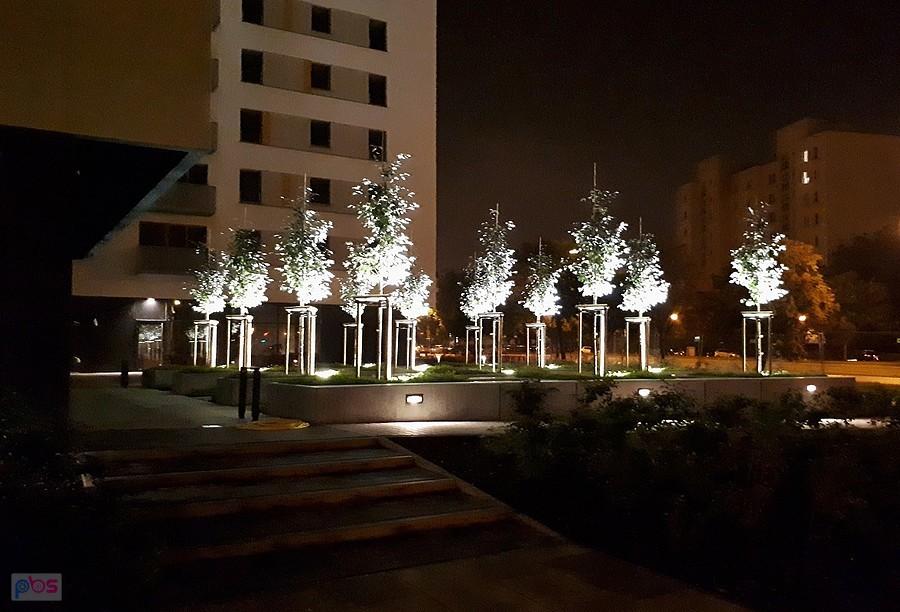 Iluminacja przy Dereniowej 60