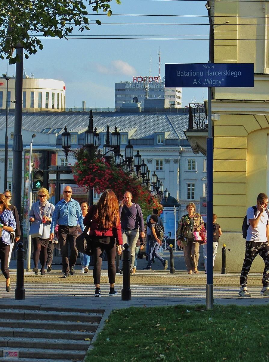 Widok ze skweru Batalionu Harcerskiego AK Wigry