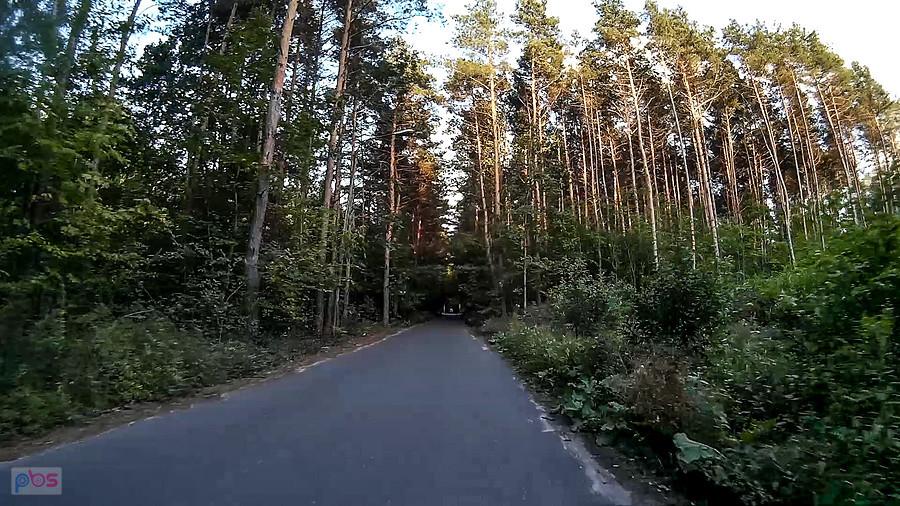 Słońce jeszcze oświetla korony drzew