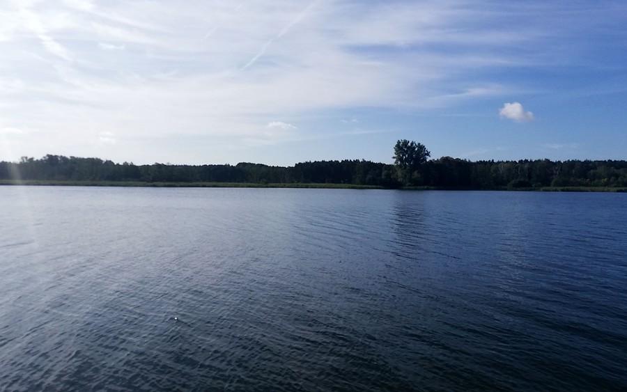 Czysta sprawa - Lusowo
