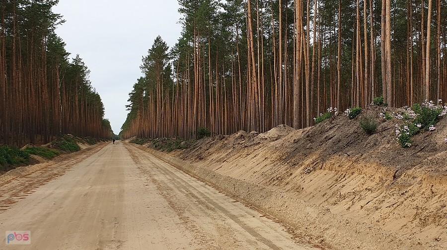 Budowa nowej drogi do Zdunowa z Niedźwiedzia