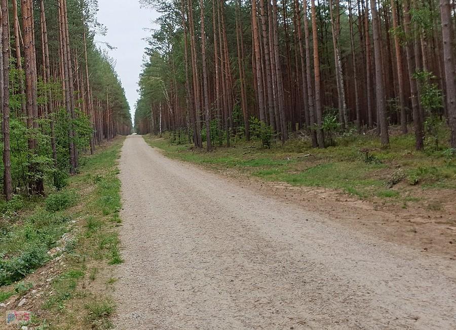 Szutrówka do Niedżwiedzia