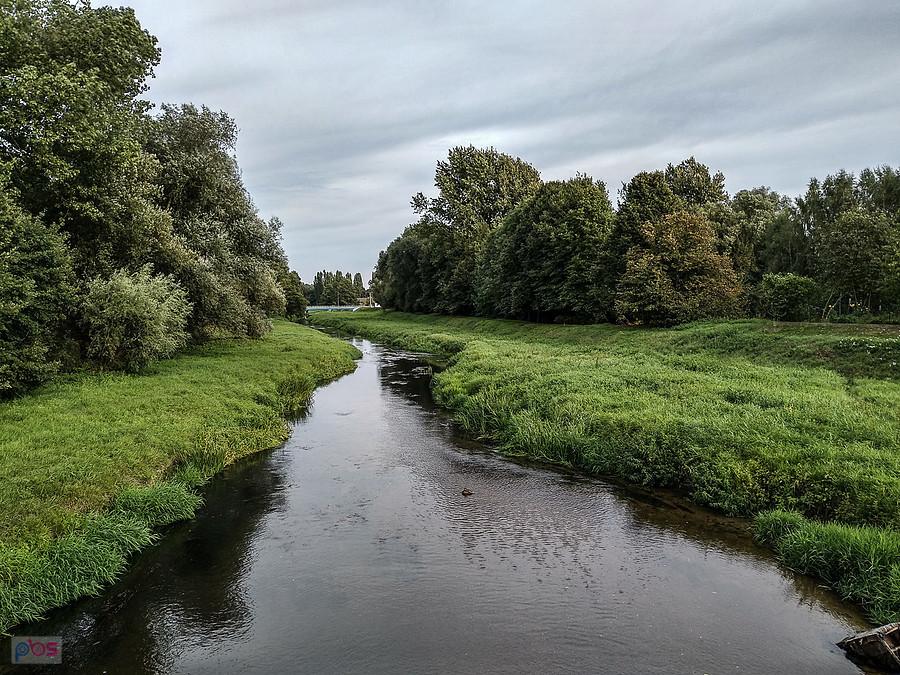 Wolbórka w Tomaszowie Mazowieckim