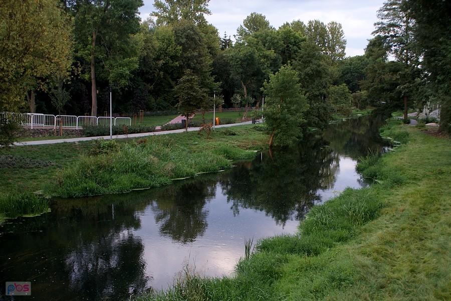 To tu uciekł, kiedy zachciało mu się kapieli w ziemie