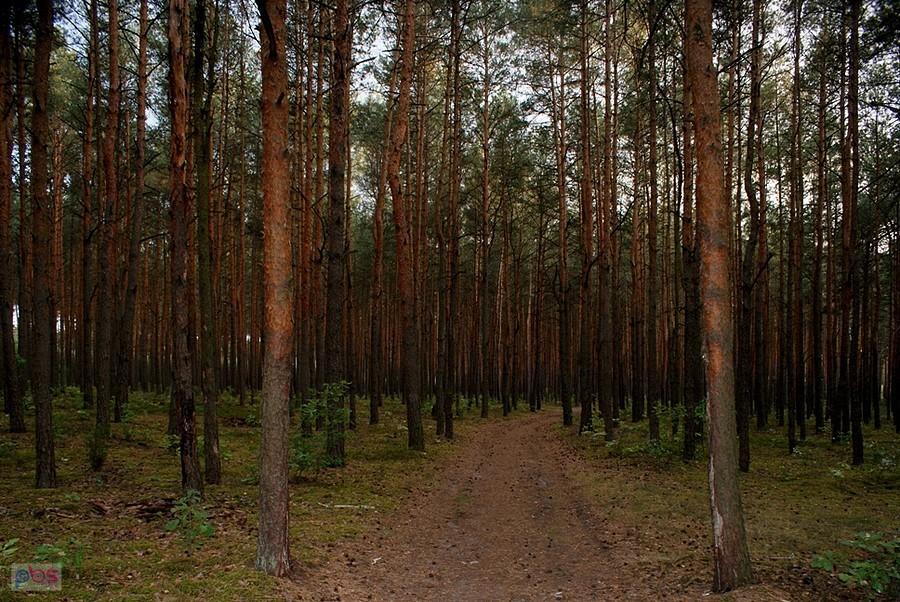 Szukam drogi do szczególnego miejsca, błądze