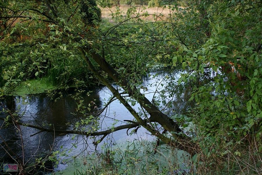 Nad Wolbórką jest atrakcji wiele