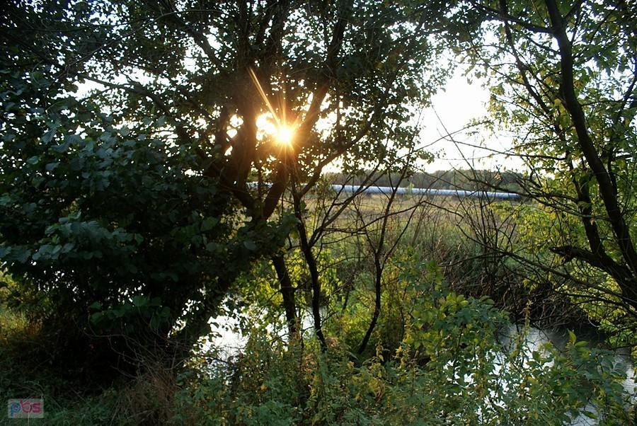 Zachodzi nad Wolbórką