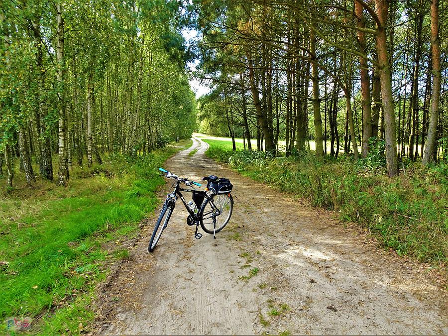 Rowerowy rajd do Swarozyna. Z okazji Tygodnia Mobilności Aktywnej - Tczew.