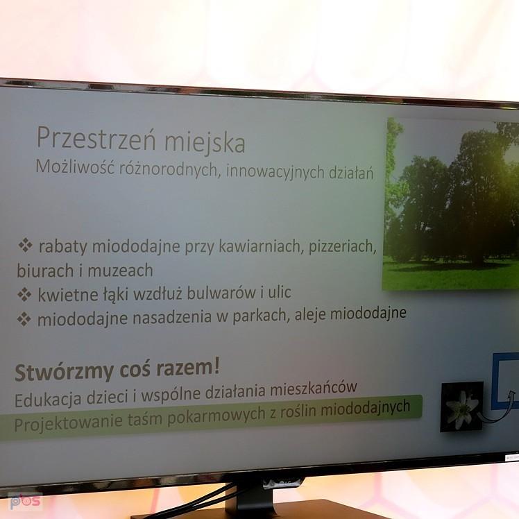 Podczas rajdu "Od pasieki do pasieki" wyświetlane są informację, prowadzona jest edukacja