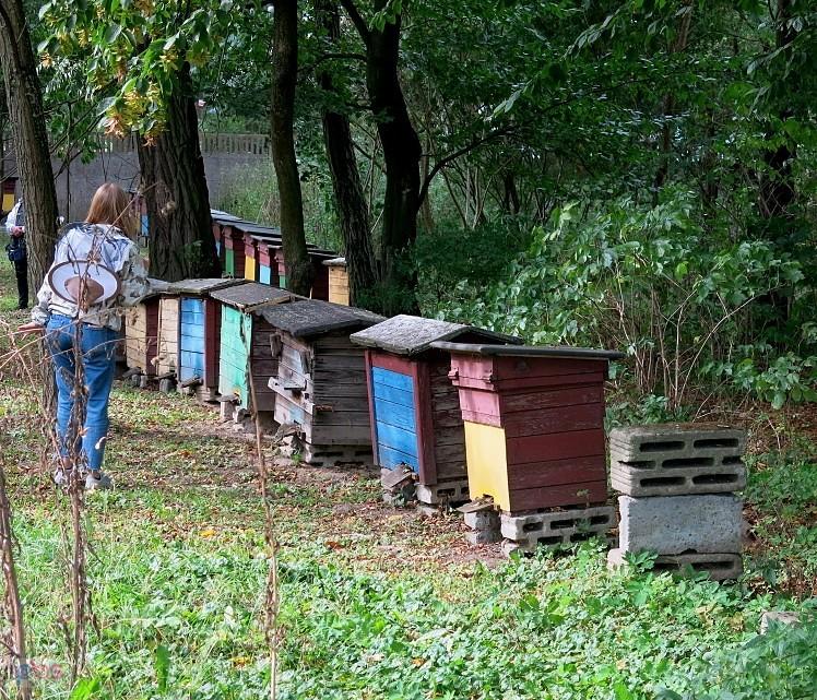 Pasieka w Popniu jest ogromna - jest jeszcze więcej uli, ale nie chciałam wchodzić w kamerę ;)