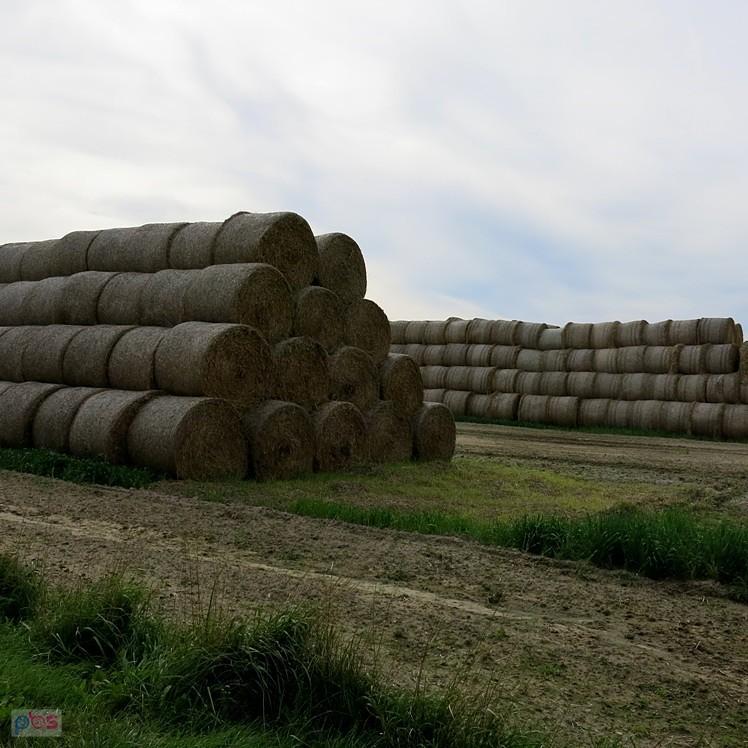 Wracamy z Popnia do domu