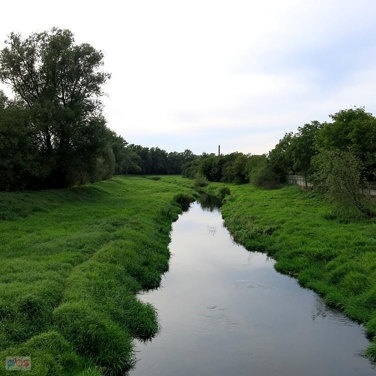 Nad Wolbórką w Tomaszowie Maz.