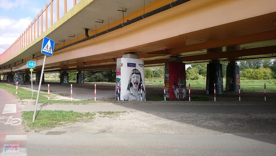 Podpory trasy dojazdowej do Mostu Siekierkowskiego