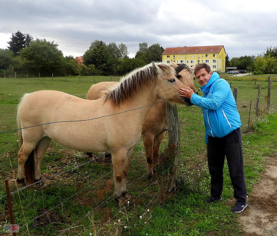 Kuba przyjaciel koników z Blankensee.