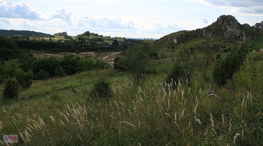 Olsztyńsie widoki