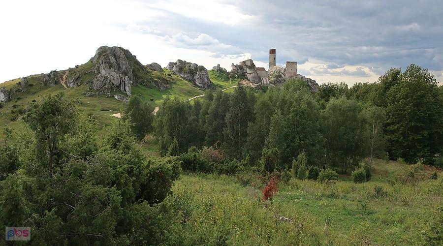 Zamek w Olsztynie