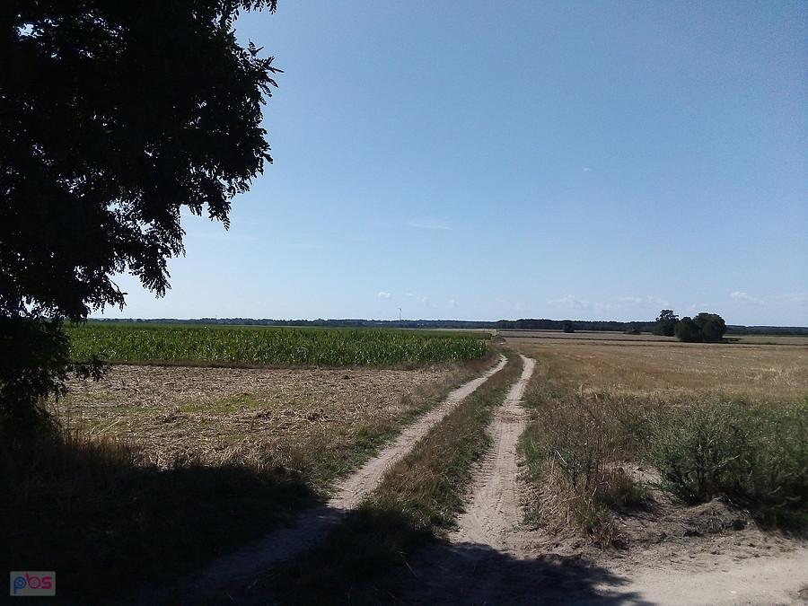 Polną scieżką
