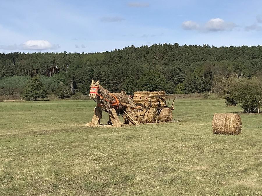 dekoracje dożynkowe przed Drezdenkiem