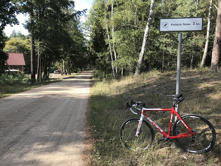 Trakr Napoleoński - okolice leśniczówki Gospódka