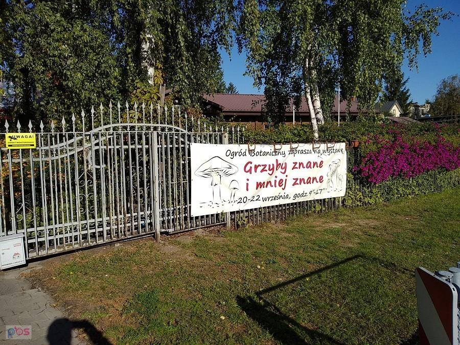 Wystawa grzybów