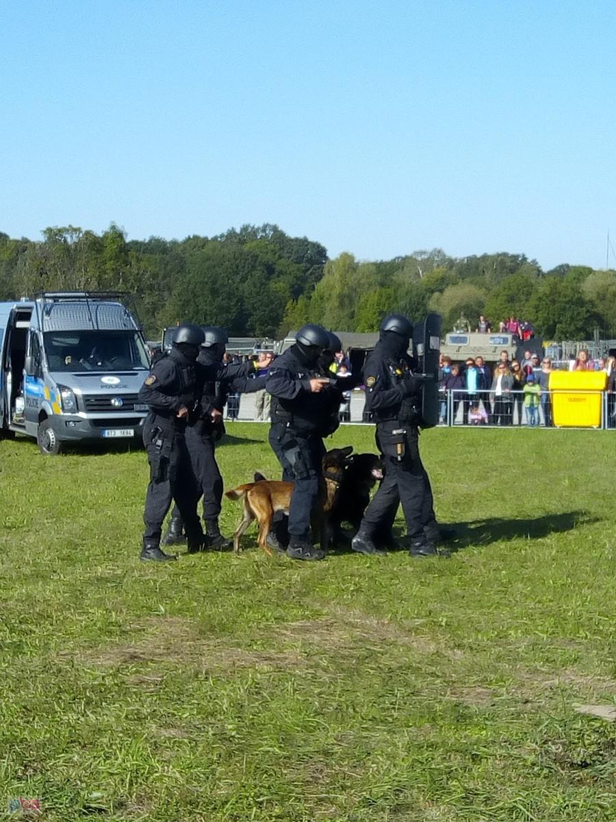 pokazy psów policyjnych