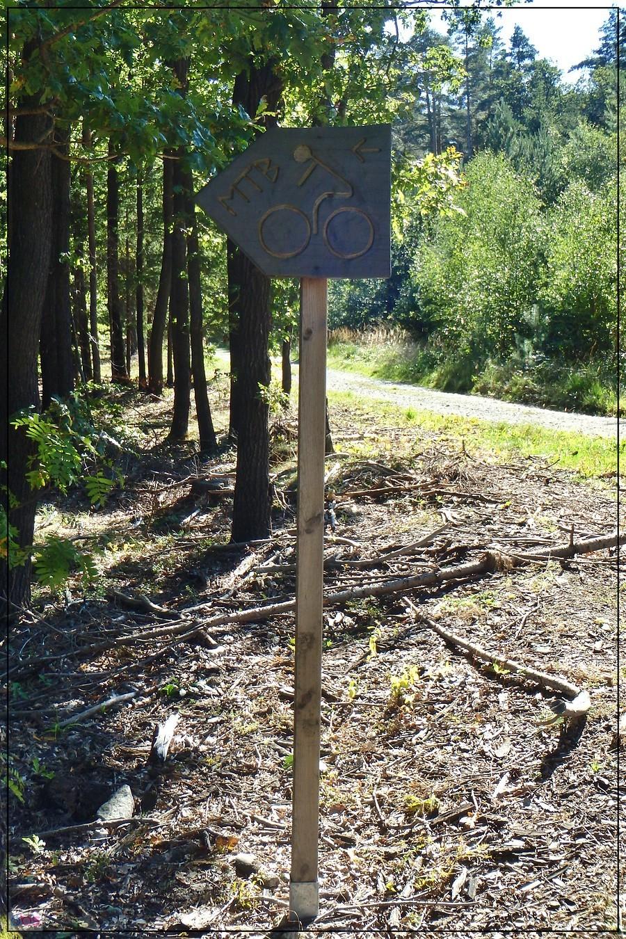 Kierunkowskaz na Suliwoods